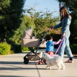 Aer2 liggedel - Space black