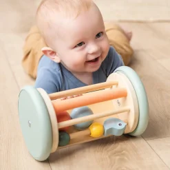 Aktivitets- & rullespejl Birdee Farvemix