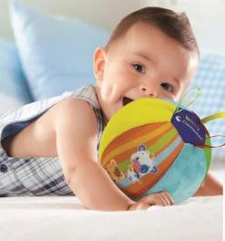 Animal Friends Musical Ball