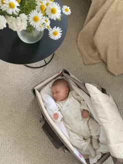 Babylift - Walnut Leaf