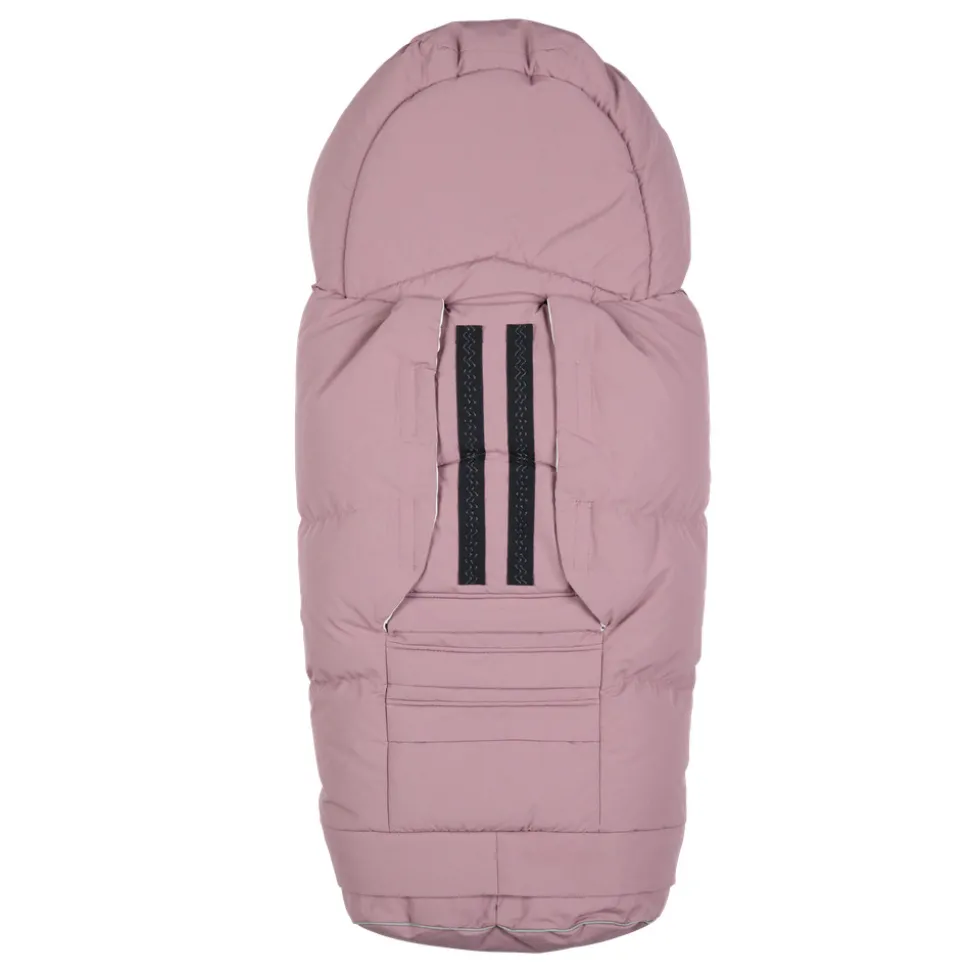 City North - Grape Wings