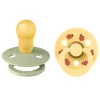 colour 2 pk ladybug latex str 3 sage mix