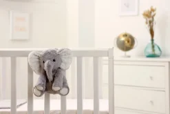 Eli the Elephant