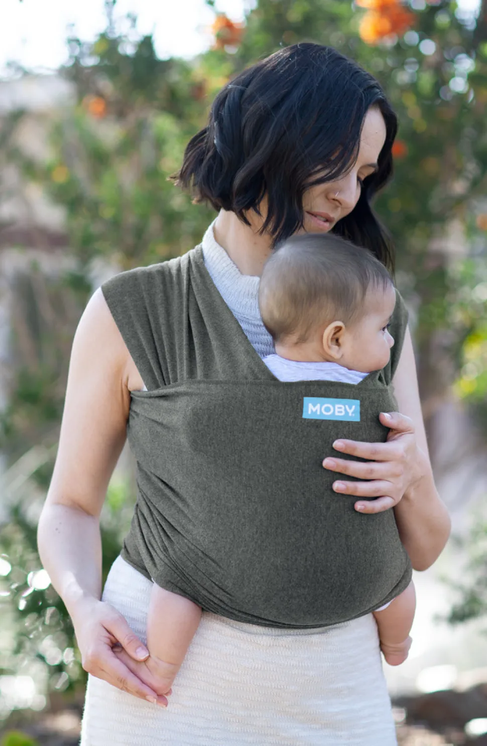 Evolution strækvikle - grey