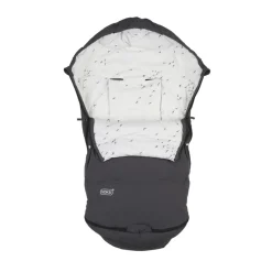 Explorer - grey flying