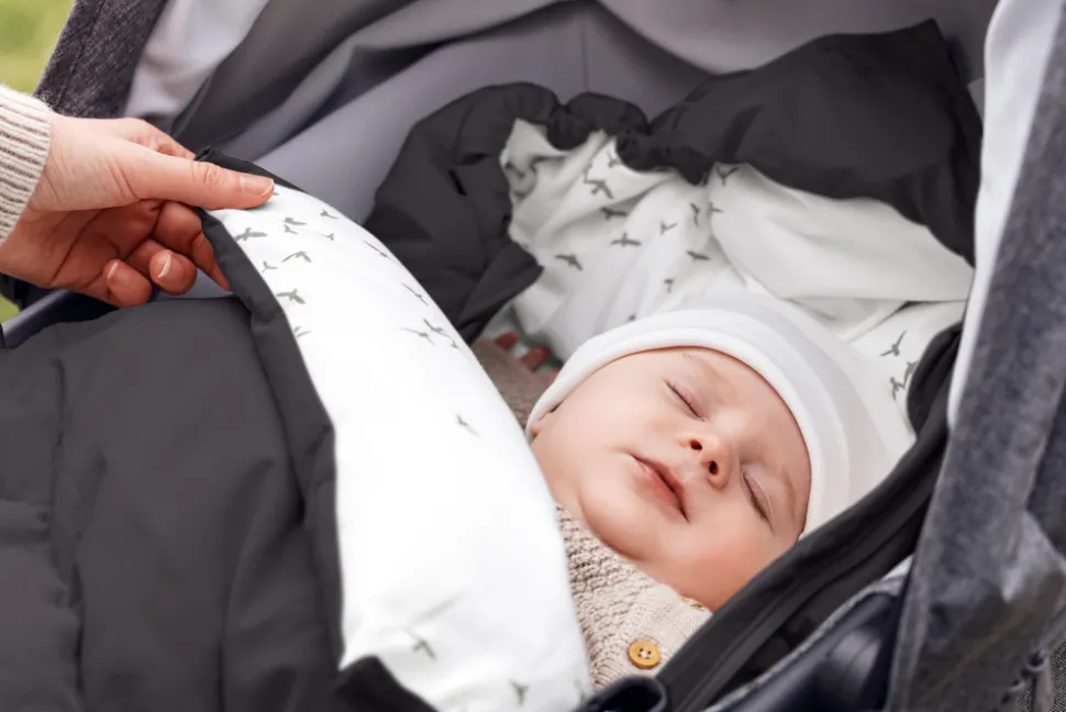 Explorer - grey flying