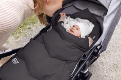 Explorer - grey flying