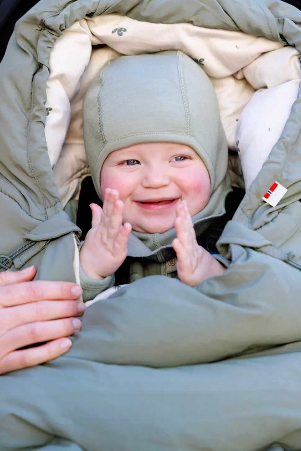 Explorer - Meadow Green Clover