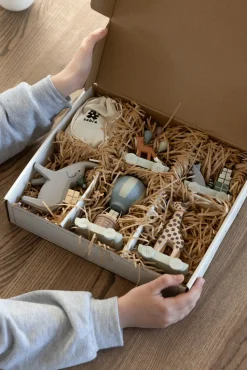 Fødselsdagstog, træ, World of Sebra