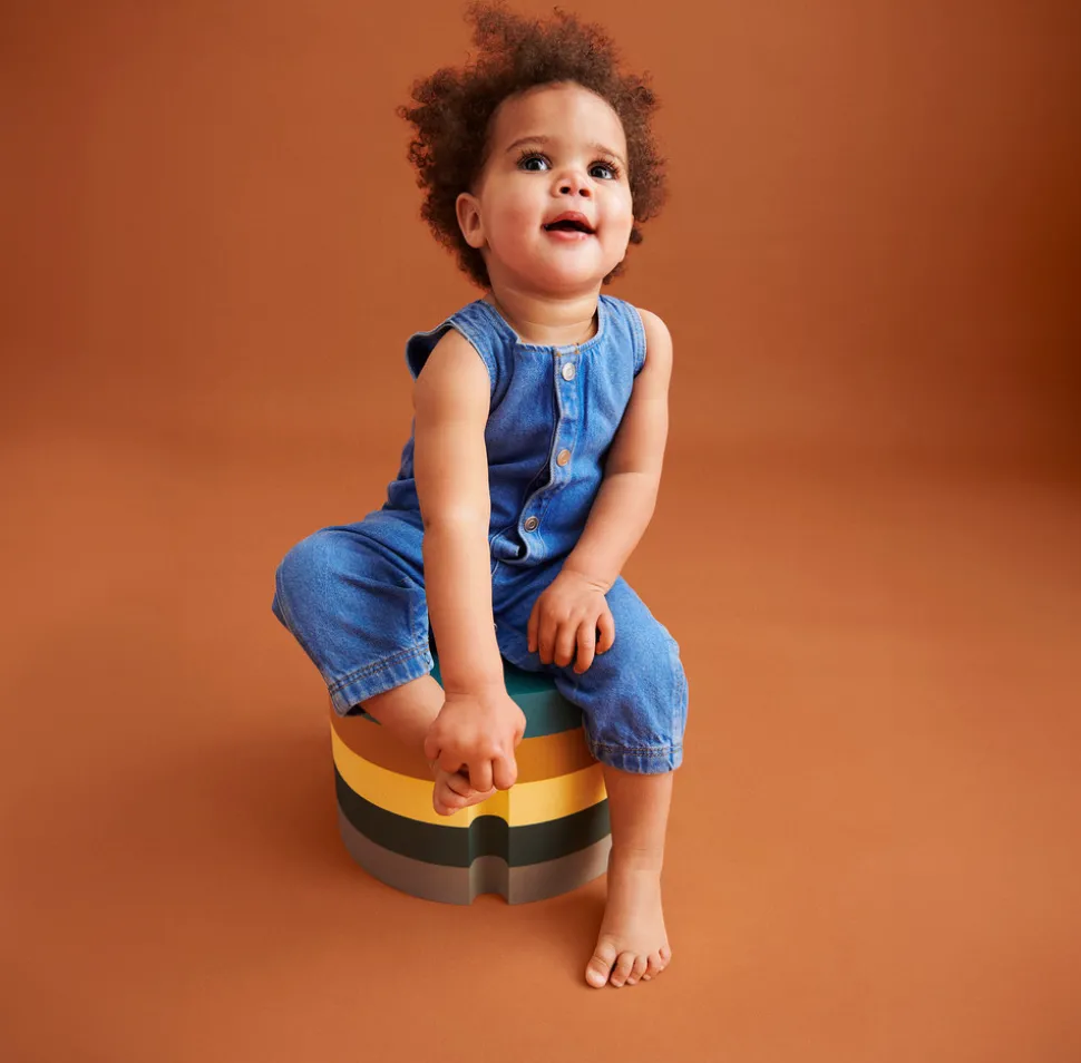 Fish L20 Colourful Zoo