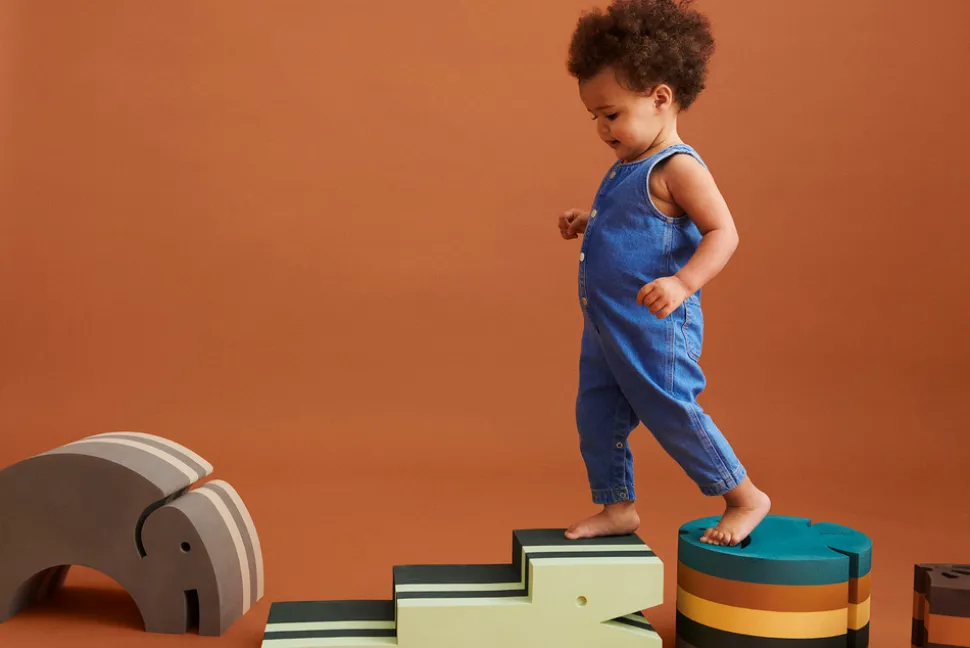 Fish L20 Colourful Zoo