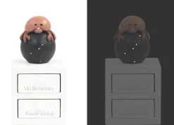 Første tand/hårlok - krebsen