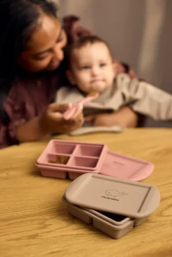 Frysebakke til babymad 4x65 ml - 2-pak - Rose Mix