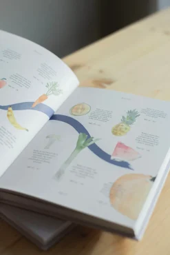 Fuld af liv - min graviditet