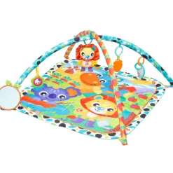 Giggly Garden musical gym