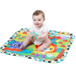 Giggly Garden musical gym