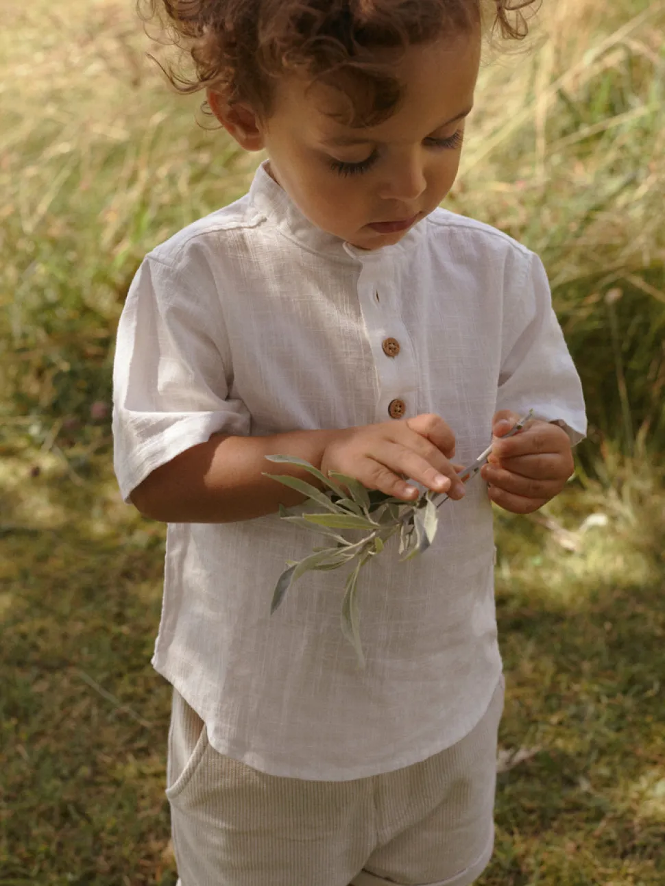 Henrik shorts - IRISHCREAM