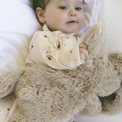 Houston tyngde bamse lille Kanin