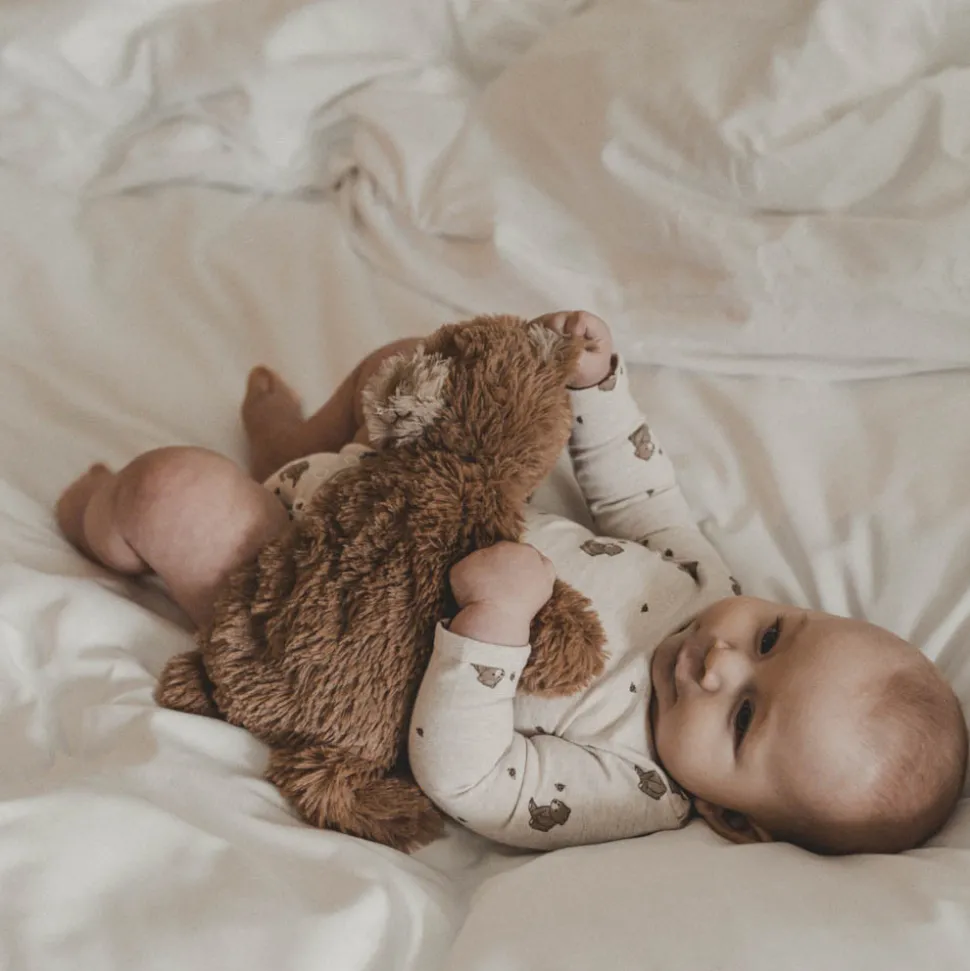 Houston Tyngdebamse, Lille Bear