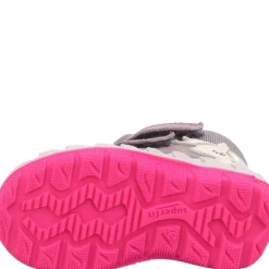 Icebird - Purple/pink