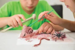 Kidzlabs /Creepy crawly digging kit