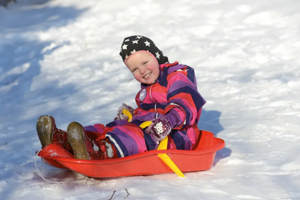 Kælk bobslæde med bremser ass. farver 79 cm.