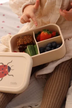 Madkasse - Ladybug- Silikone