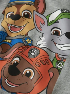 Nitin Paw Patrol Trøje - Grey Melange