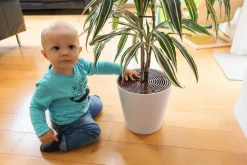 Noah Plantebeskytter, 2 stk