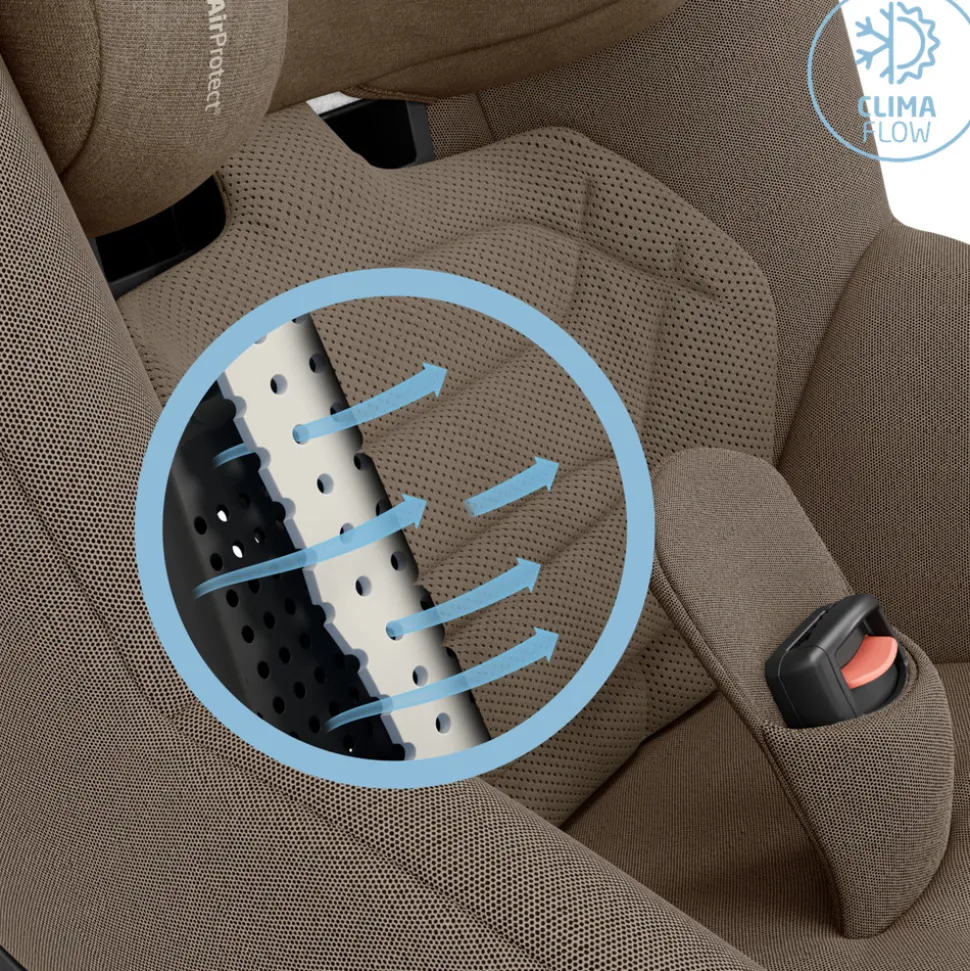 Pearl 360 Pro - authentic truffle