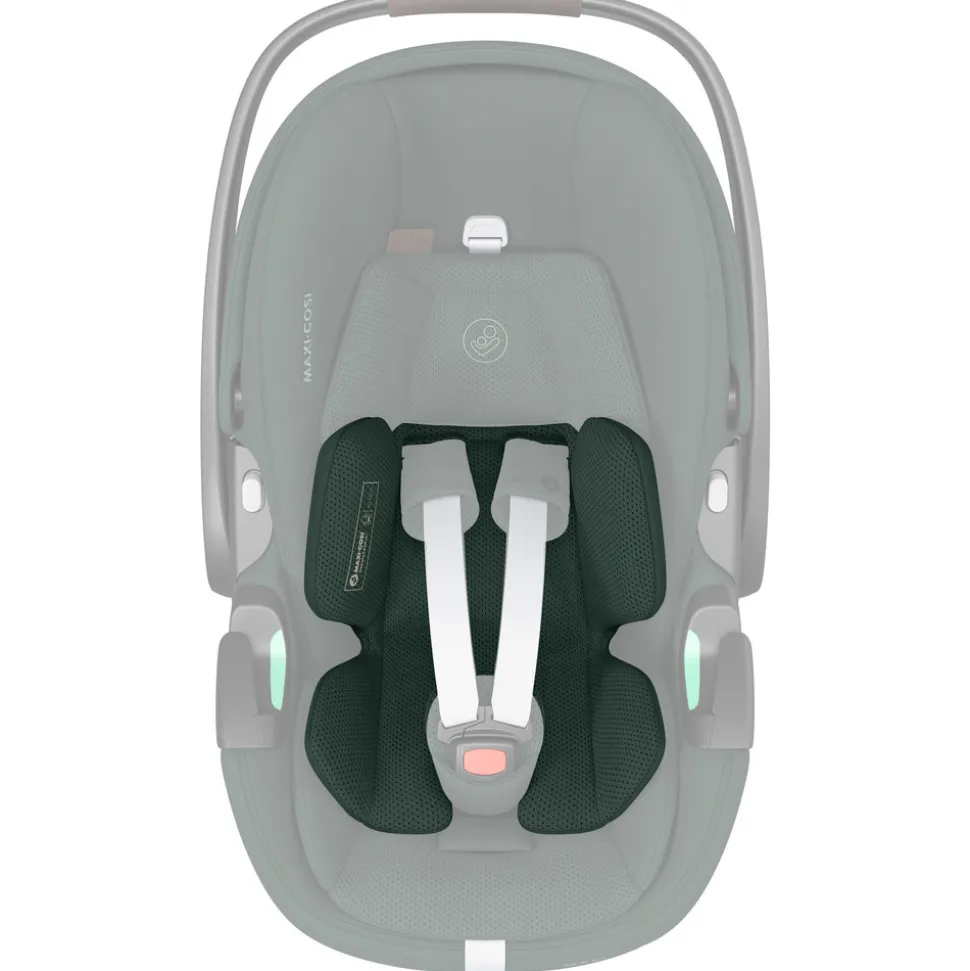 Pebble 360 Pro2 - Twillic Green