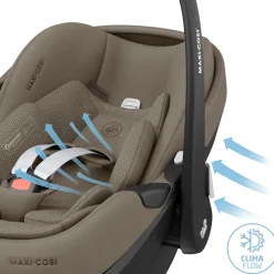 Pebble 360 Pro2 - Twillic Truffle