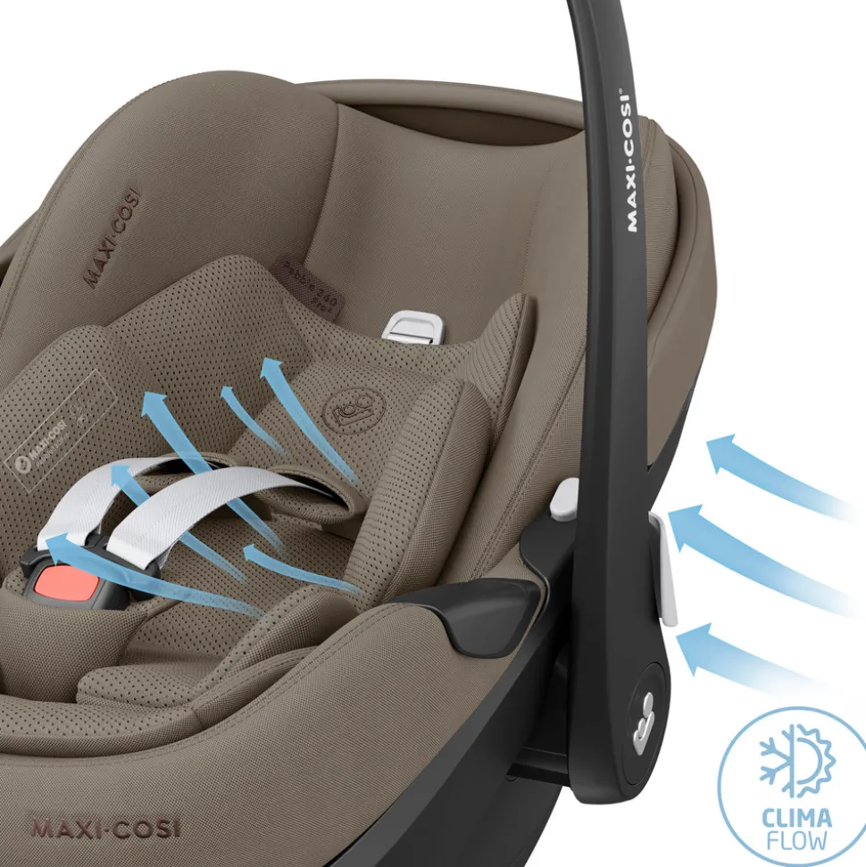 Pebble 360 Pro2 - Twillic Truffle