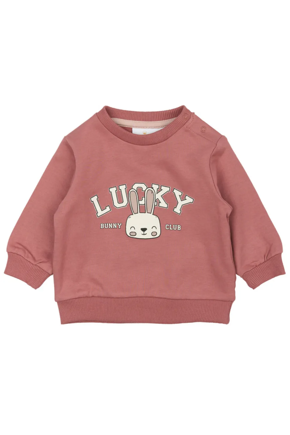 Pheba Sweatshirt - Withered rose