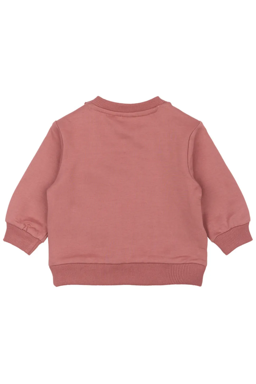 Pheba Sweatshirt - Withered rose