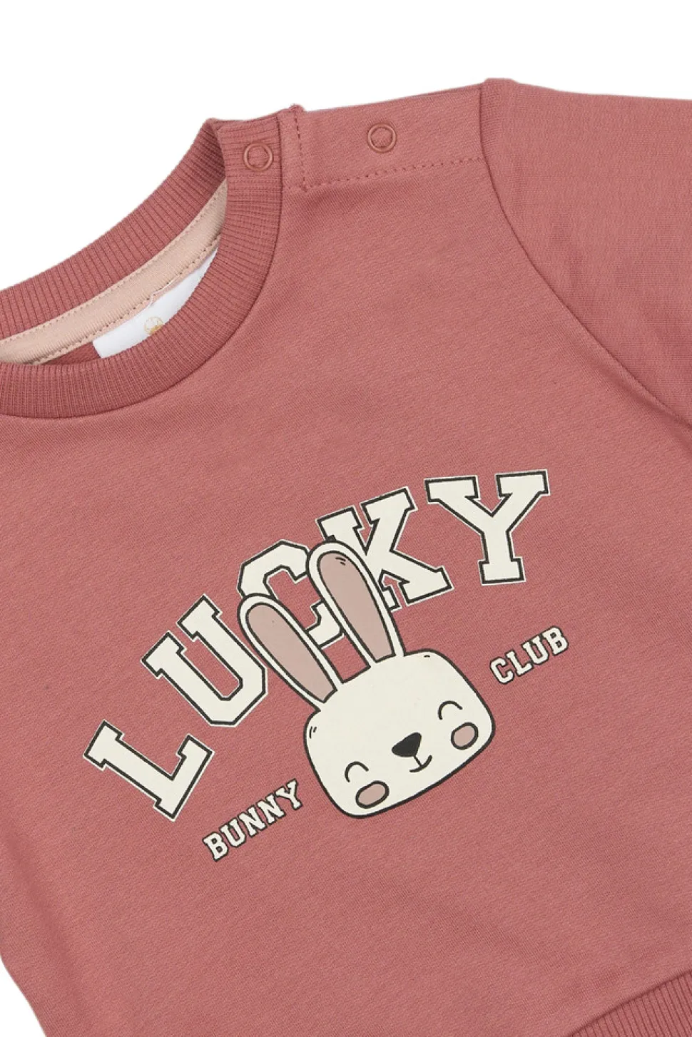 Pheba Sweatshirt - Withered rose