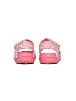 Playa jr - Conch shell