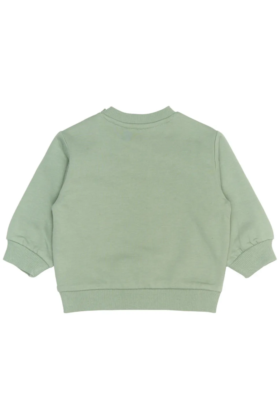 Rex Sweatshirt - LILY PAD