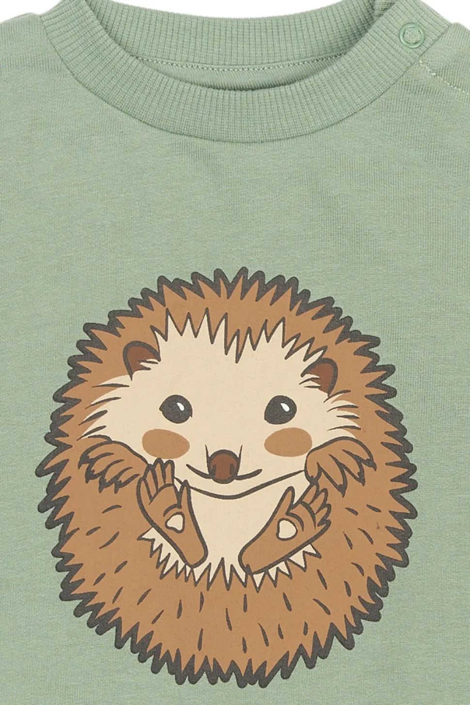 Rex Sweatshirt - LILY PAD