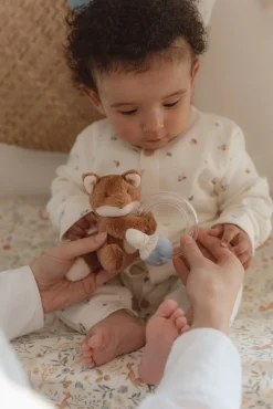 Ringrangle - Forest Friends