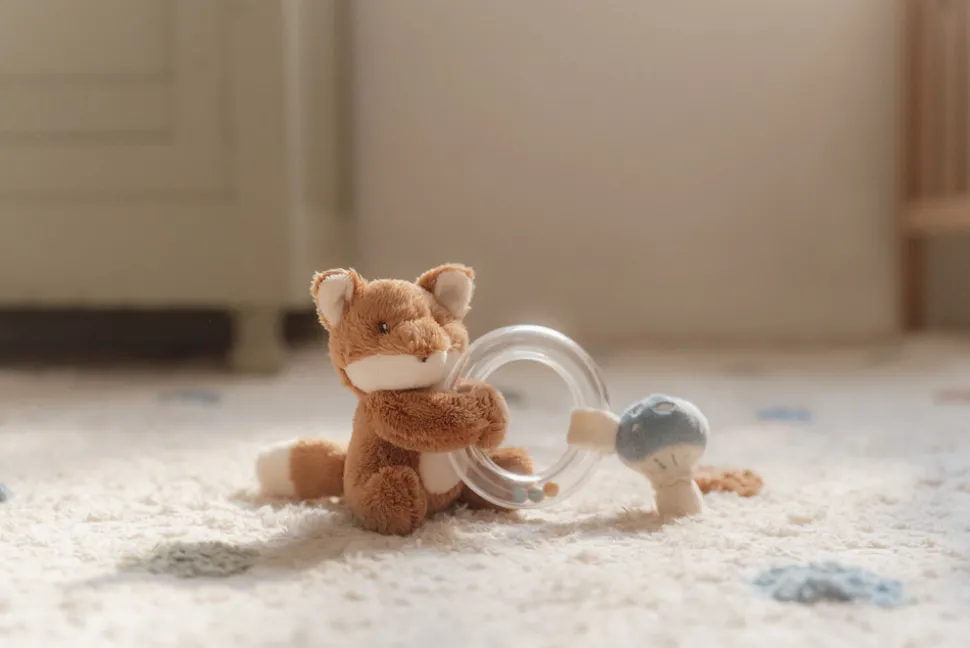 Ringrangle - Forest Friends