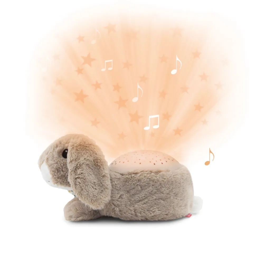 RUBY Musical Projector