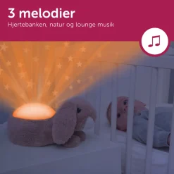 RUBY Musical Projector