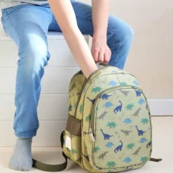 Rygsæk dinosaurs med kølerum