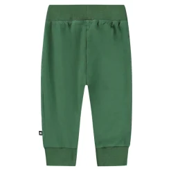 Sammy Bukser - Pine tree