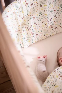 Sengerand - Little Wonders