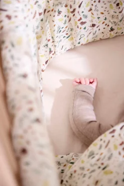 Sengerand - Little Wonders