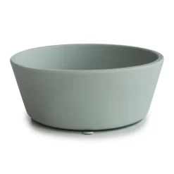 Silicone Bowl (Cambridge Blue)