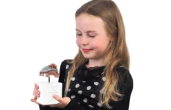 Stjernetegn, krebsen