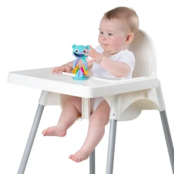 Sugekoprangle, Wobble Bjørn